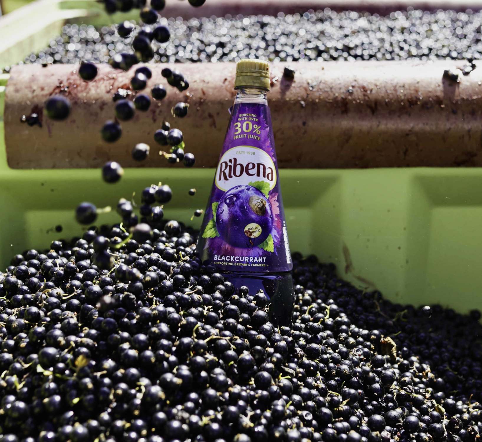 Ribena and blackcurrants
